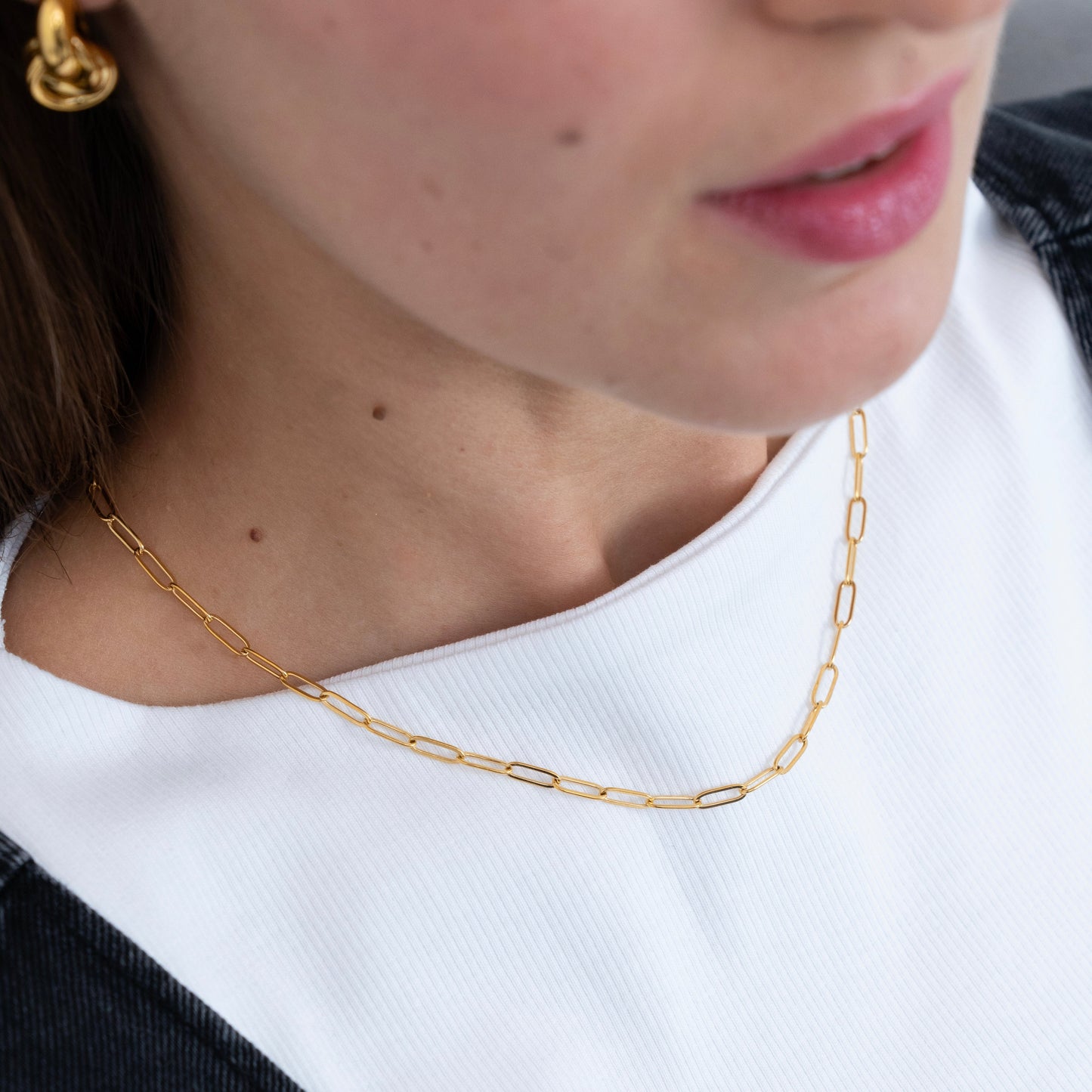 Prime Paperclip Necklace Set