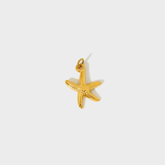 Star Fish Charm