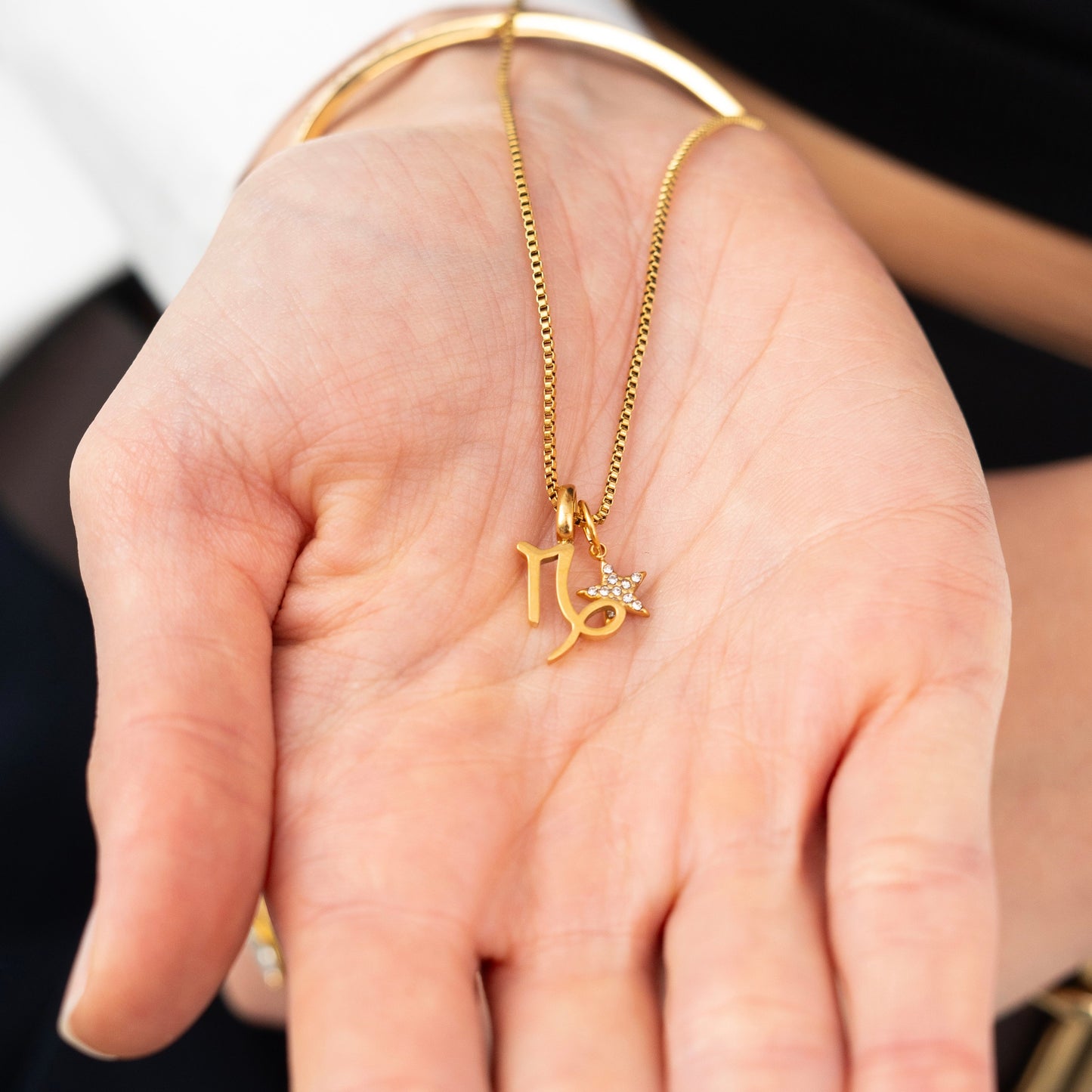Star Charm Zodiac Necklace
