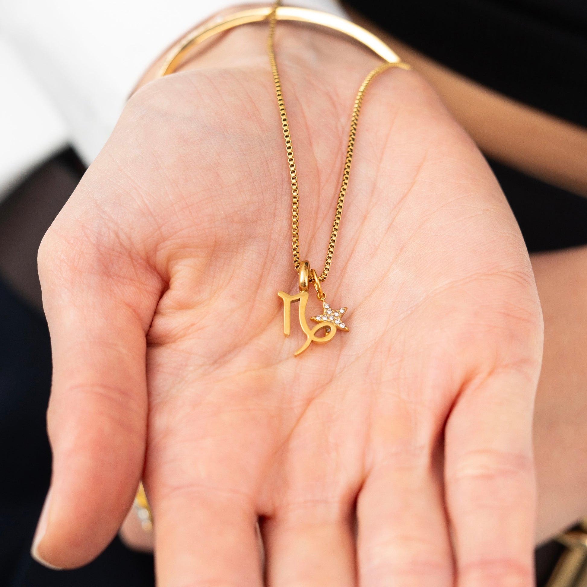 Star Charm Zodiac Necklace-Explore our elegant Balance Beam T-Bar Chain Necklace collection. Enhance your style with our sophisticated designs. Order now for timeless elegance! 🏆-Dazzledvenus