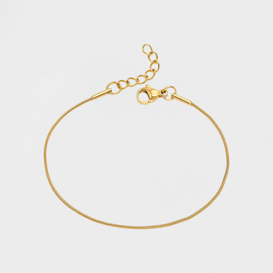 Snake Bone Minimal Bracelet-Dazzledvenus